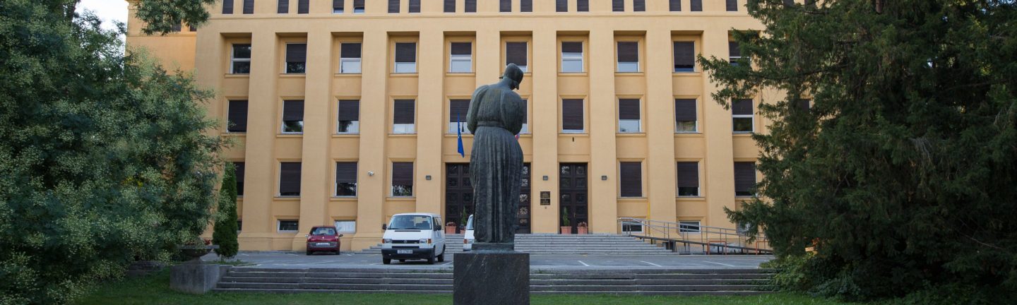 Dječje javnozdravstveno filmsko stvaralaštvo